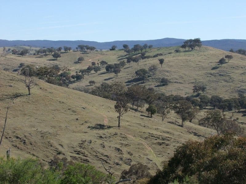 ORANGE NSW 2800, Orange - Image 1