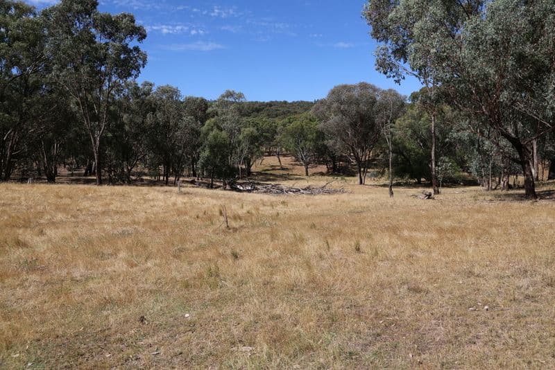 YOUNG NSW 2594, Young - Image 1
