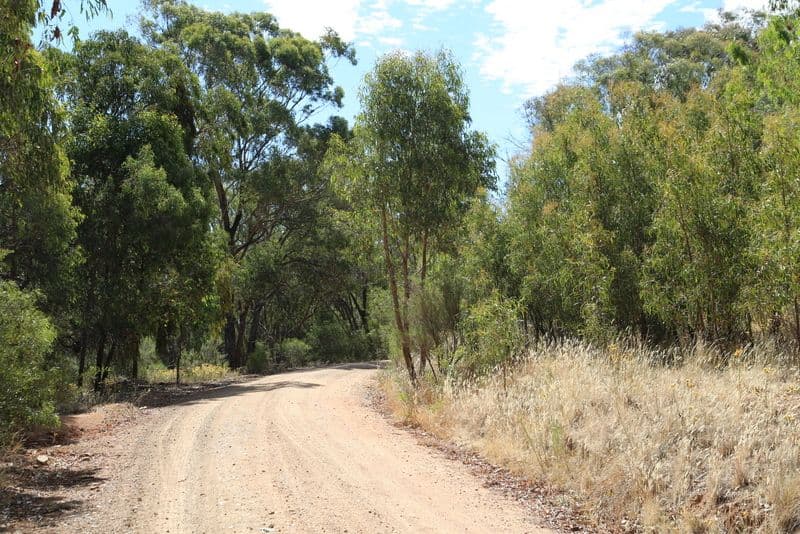 YOUNG NSW 2594, Young - Thumbnail 4