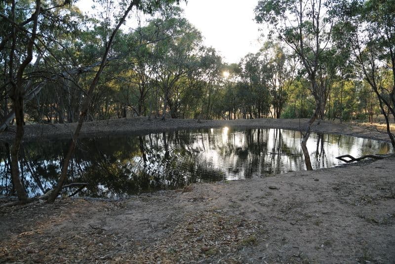 YOUNG NSW 2594, Young - Thumbnail 3