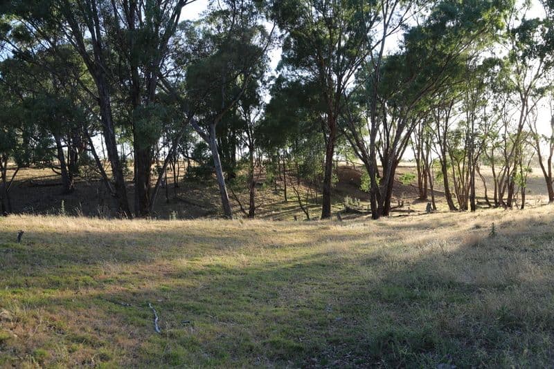 YOUNG NSW 2594, Young - Thumbnail 2