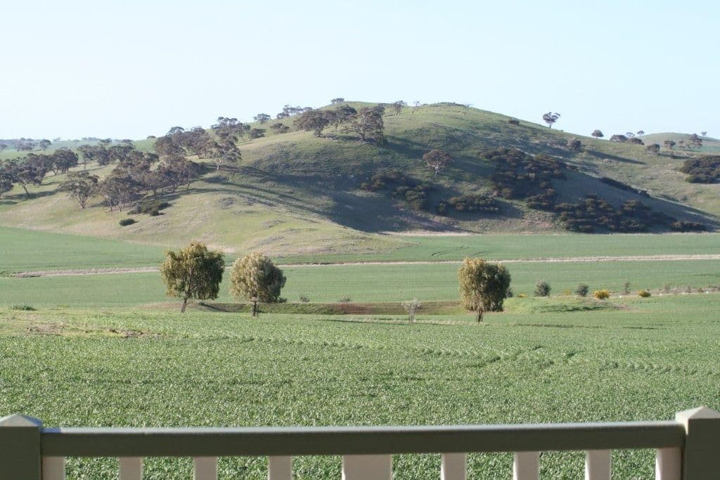 255 River Road, BAGOT WELL SA 5373, Bagot Well - Thumbnail 8