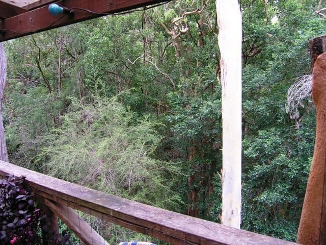 8 Oakglen Road, NORTH GOSFORD NSW 2250, North Gosford - Thumbnail 5