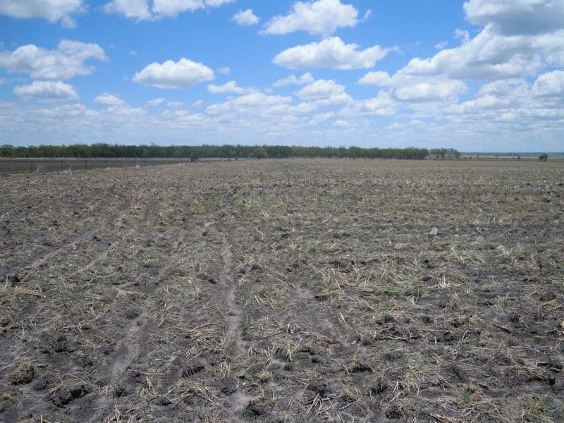 0 Tmba-Karara Road, FELTON SOUTH QLD 4358, Felton South - Thumbnail 8