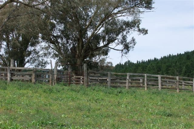 759 Jeremy Road, BURRAGA NSW 2795, Burraga - Thumbnail 3