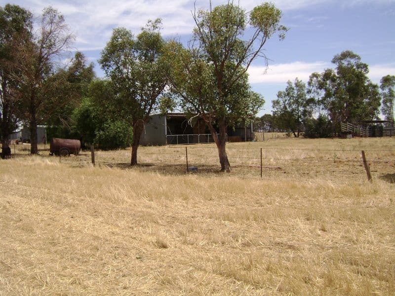 299 Allens Road, COWRA NSW 2794, Cowra - Thumbnail 8