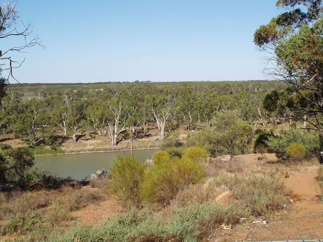 1459 Cadell Valley Road, CADELL SA 5321, Cadell - Thumbnail 3