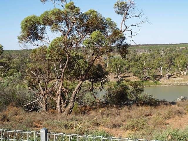 1459 Cadell Valley Road, CADELL SA 5321, Cadell - Thumbnail 2