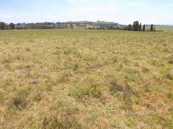 Lot 1 Glendonbrook Road, GLENDON BROOK NSW 2330, Glendon Brook - Thumbnail 5