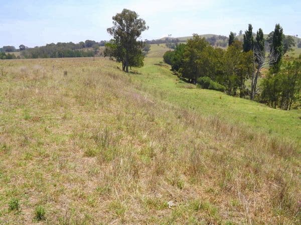 Lot 1 Glendonbrook Road, GLENDON BROOK NSW 2330, Glendon Brook - Thumbnail 4