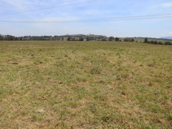 Lot 1 Glendonbrook Road, GLENDON BROOK NSW 2330, Glendon Brook - Thumbnail 2