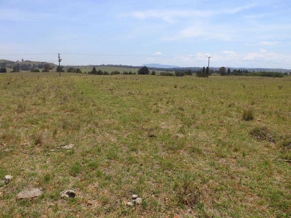 Lot 7 Glendonbrook Road, GLENDON BROOK NSW 2330, Glendon Brook - Thumbnail 2