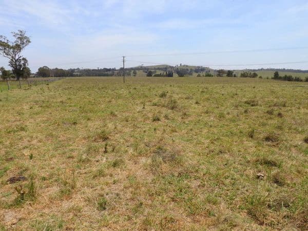 Lot 7 Glendonbrook Road, GLENDON BROOK NSW 2330, Glendon Brook - Thumbnail 3