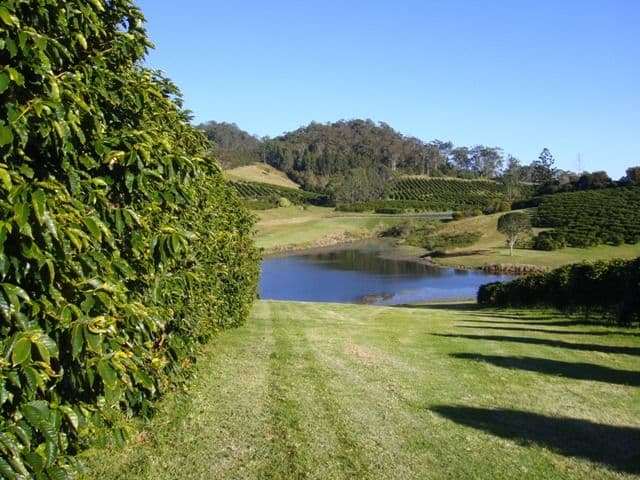 NIMBIN NSW 2480, Nimbin - Thumbnail 3