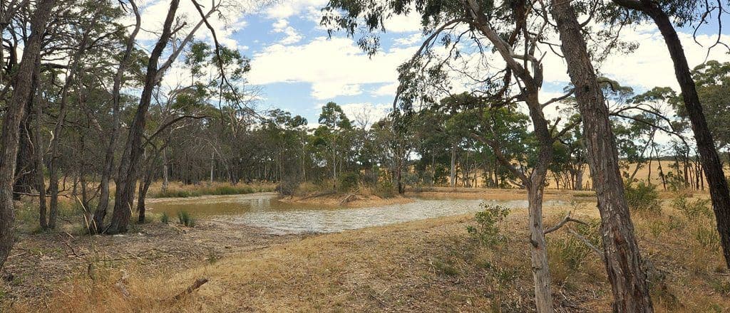 Lot 8 Rifle Butts Road, BEAUFORT VIC 3373, Beaufort - Thumbnail 2