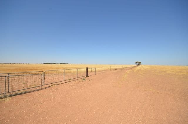 "Abbott's" Sec 173, PASKEVILLE SA 5552, Paskeville - Thumbnail 3