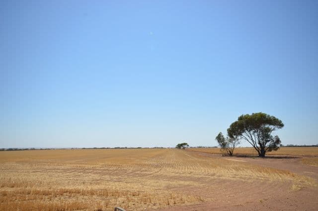 "Abbott's" Sec 173, PASKEVILLE SA 5552, Paskeville - Thumbnail 4