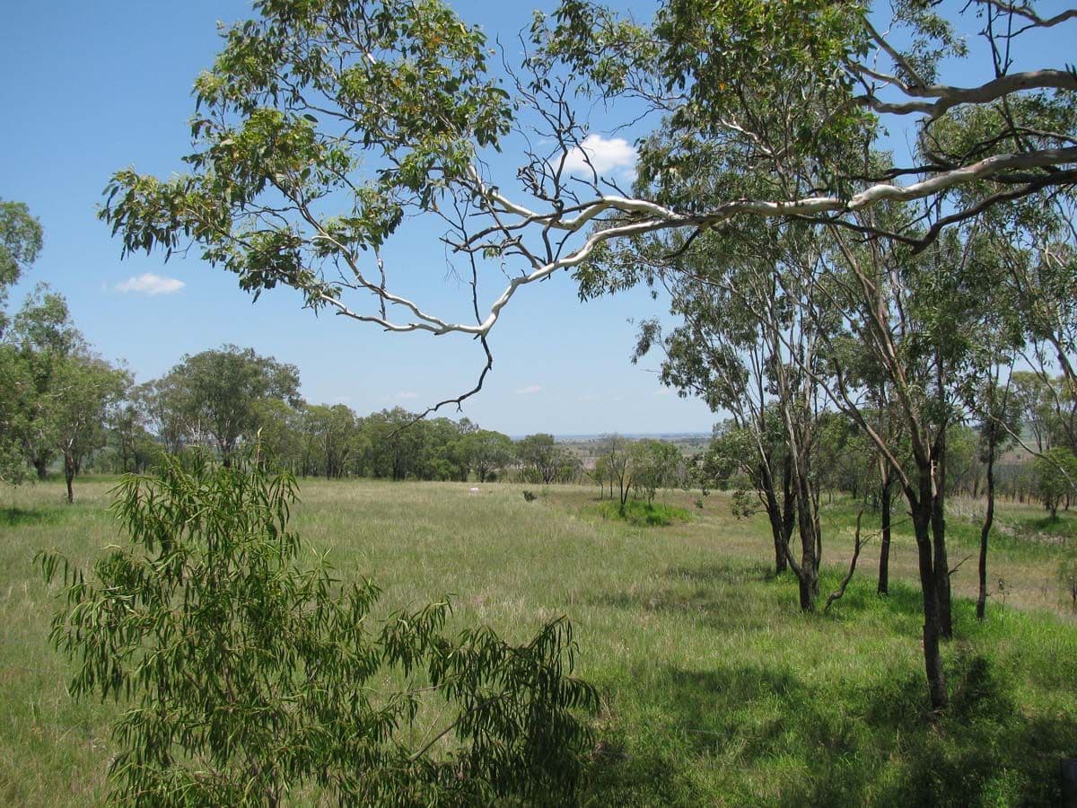 "Bevell-Dean" Lot 2 Millmerran Road, YARRANLEA QLD 4356, Yarranlea - Thumbnail 4