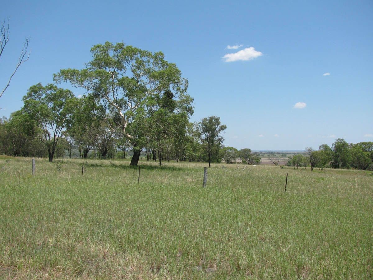 "Bevell-Dean" Lot 2 Millmerran Road, YARRANLEA QLD 4356, Yarranlea - Thumbnail 5