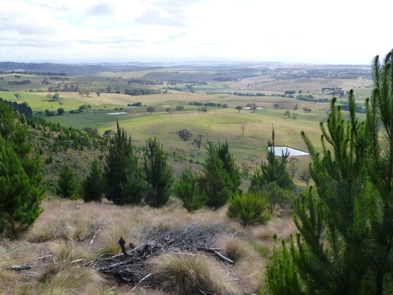 BATHURST NSW 2795, Bathurst - Thumbnail 3