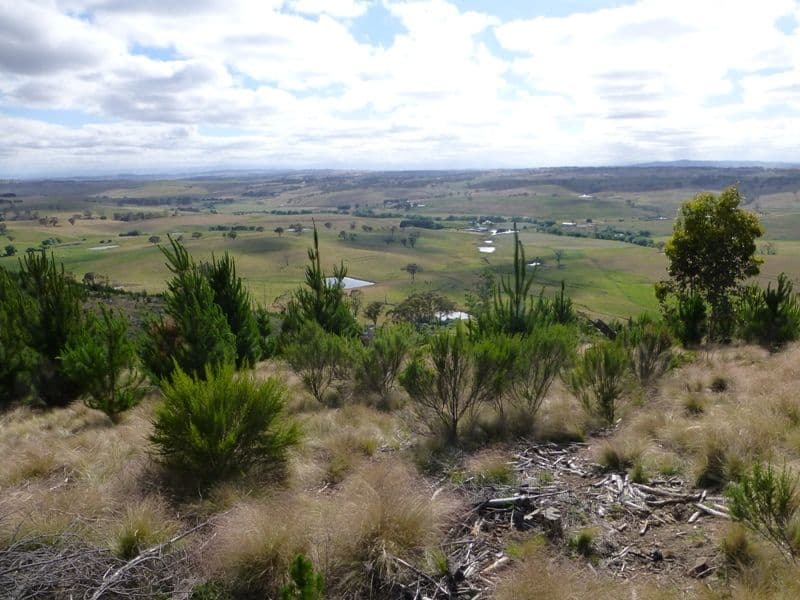 BATHURST NSW 2795, Bathurst - Thumbnail 6