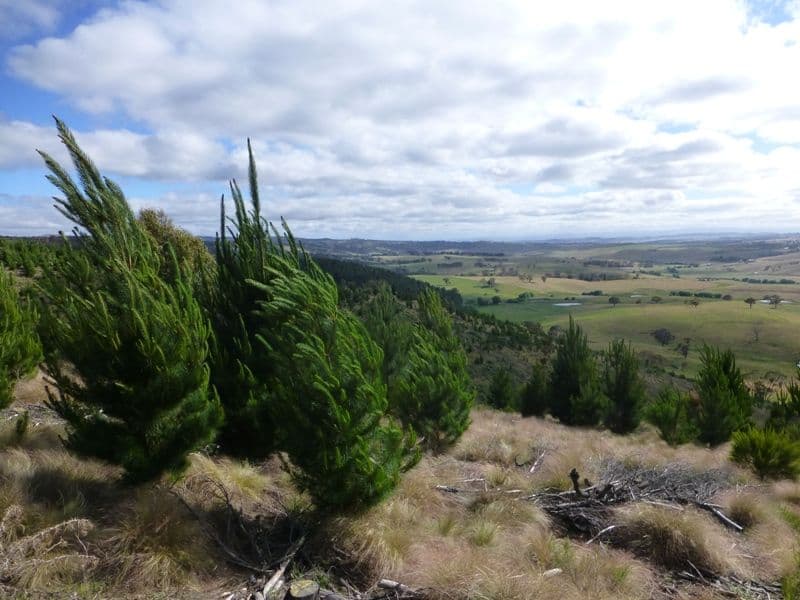 BATHURST NSW 2795, Bathurst - Thumbnail 2
