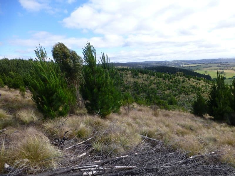 BATHURST NSW 2795, Bathurst - Thumbnail 5