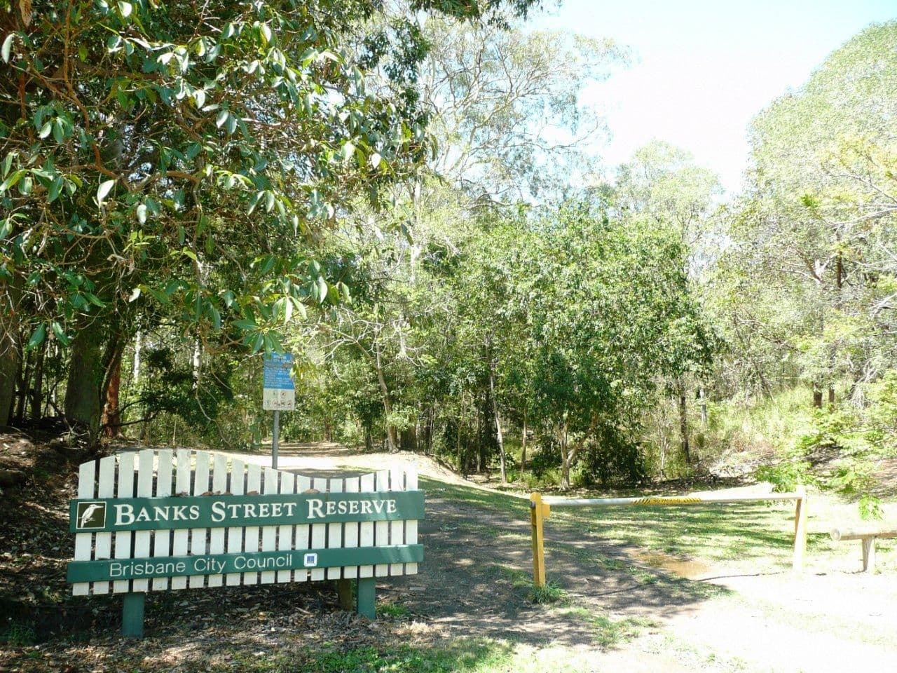 17 Gavan Street, Ashgrove QLD 4060, Ashgrove - Thumbnail 5