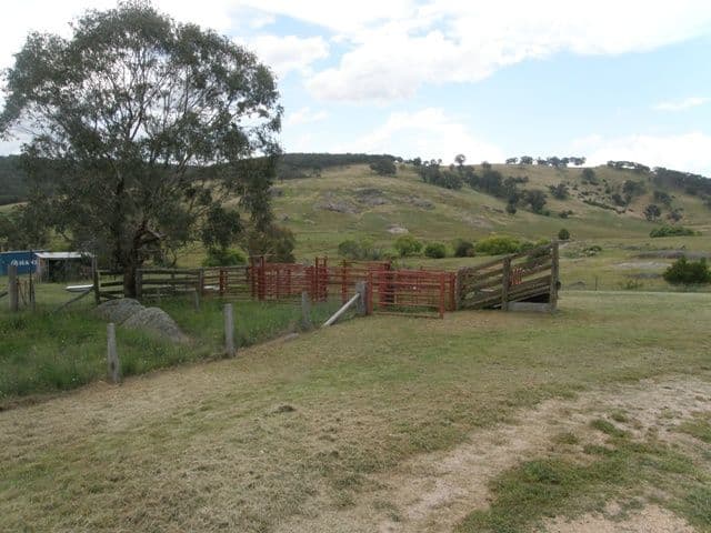 MOUNT RANKIN NSW 2795, Mount Rankin - Thumbnail 3