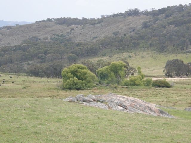 MOUNT RANKIN NSW 2795, Mount Rankin - Thumbnail 5