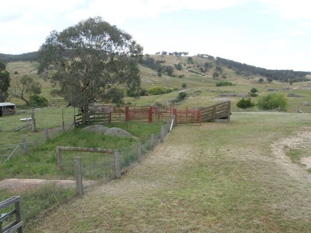 MOUNT RANKIN NSW 2795, Mount Rankin - Thumbnail 6