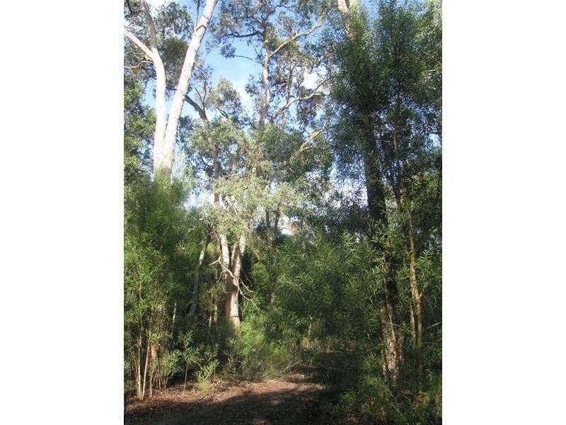 0 Hutchinsons Road, STRATHDOWNIE VIC 3312, Strathdownie - Thumbnail 5