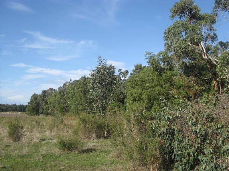 0 Hutchinsons Road, STRATHDOWNIE VIC 3312, Strathdownie - Thumbnail 3