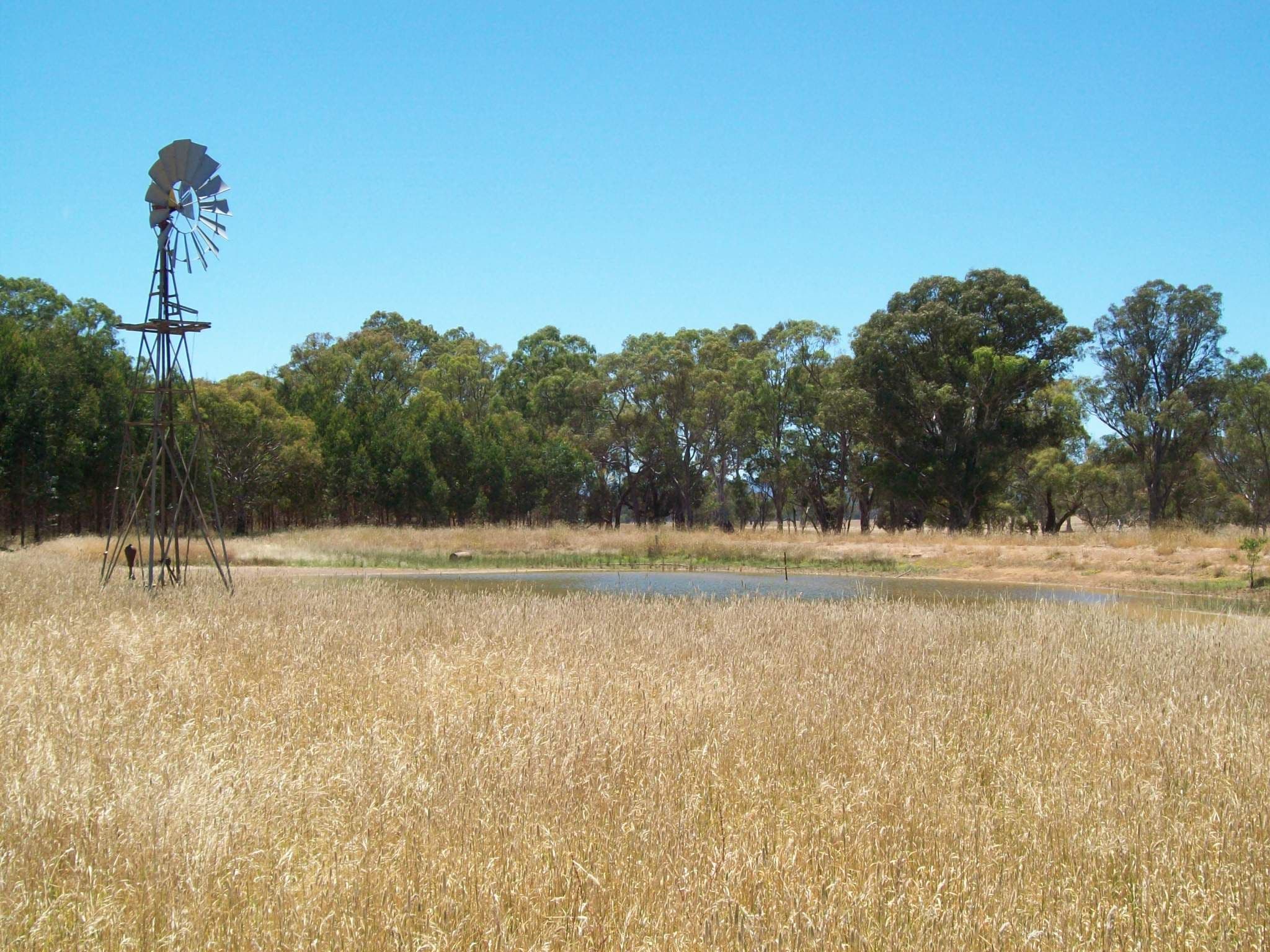 CAVENDISH VIC 3314, Cavendish - Thumbnail 2