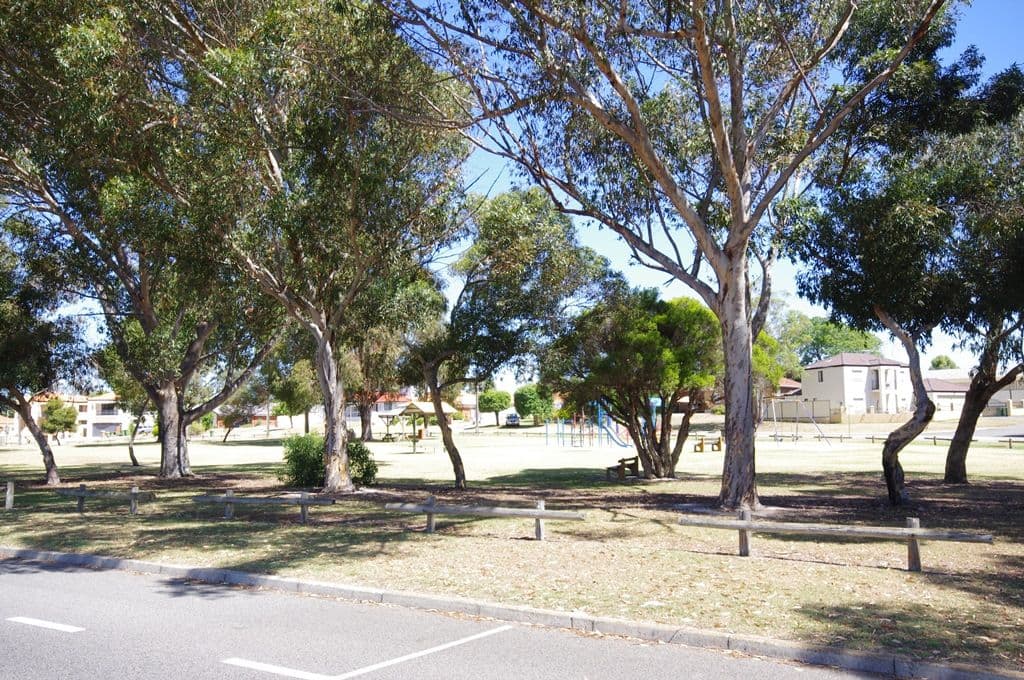 373 Walter Road, MORLEY WA 6062, Morley - Thumbnail 7