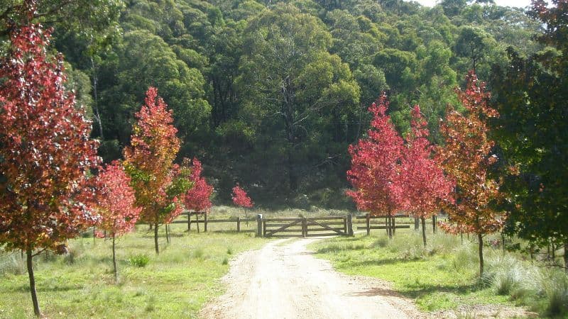 Lot 82 Lawsons Long Alley, HARTLEY VALE NSW 2790, Hartley Vale - Thumbnail 3
