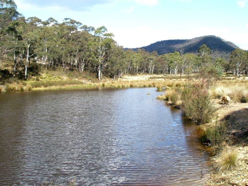Lot 82 Lawsons Long Alley, HARTLEY VALE NSW 2790, Hartley Vale - Thumbnail 4