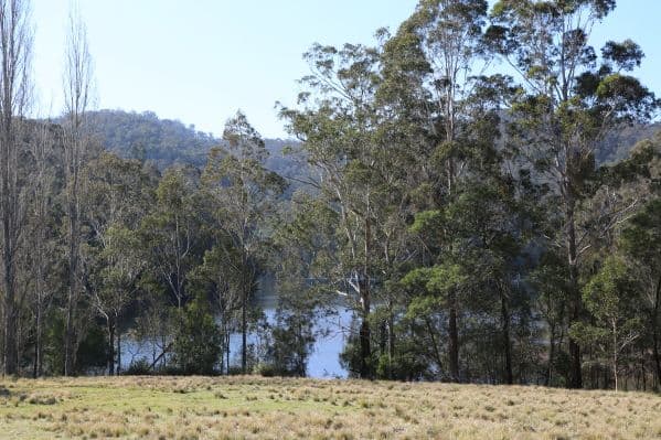 Lots 103 & 104 Wagonga Scenic Drive, NAROOMA NSW 2546, Narooma - Thumbnail 7