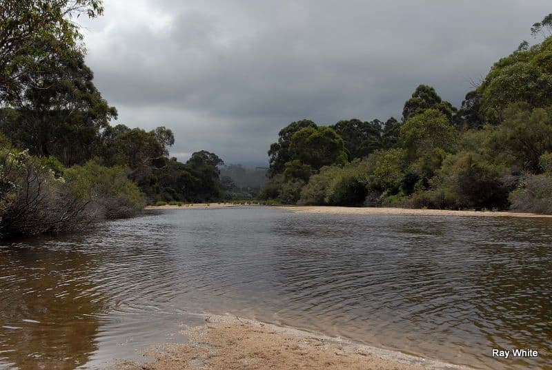 3091 Cooma Road, Braidwood NSW 2622, Braidwood - Thumbnail 6