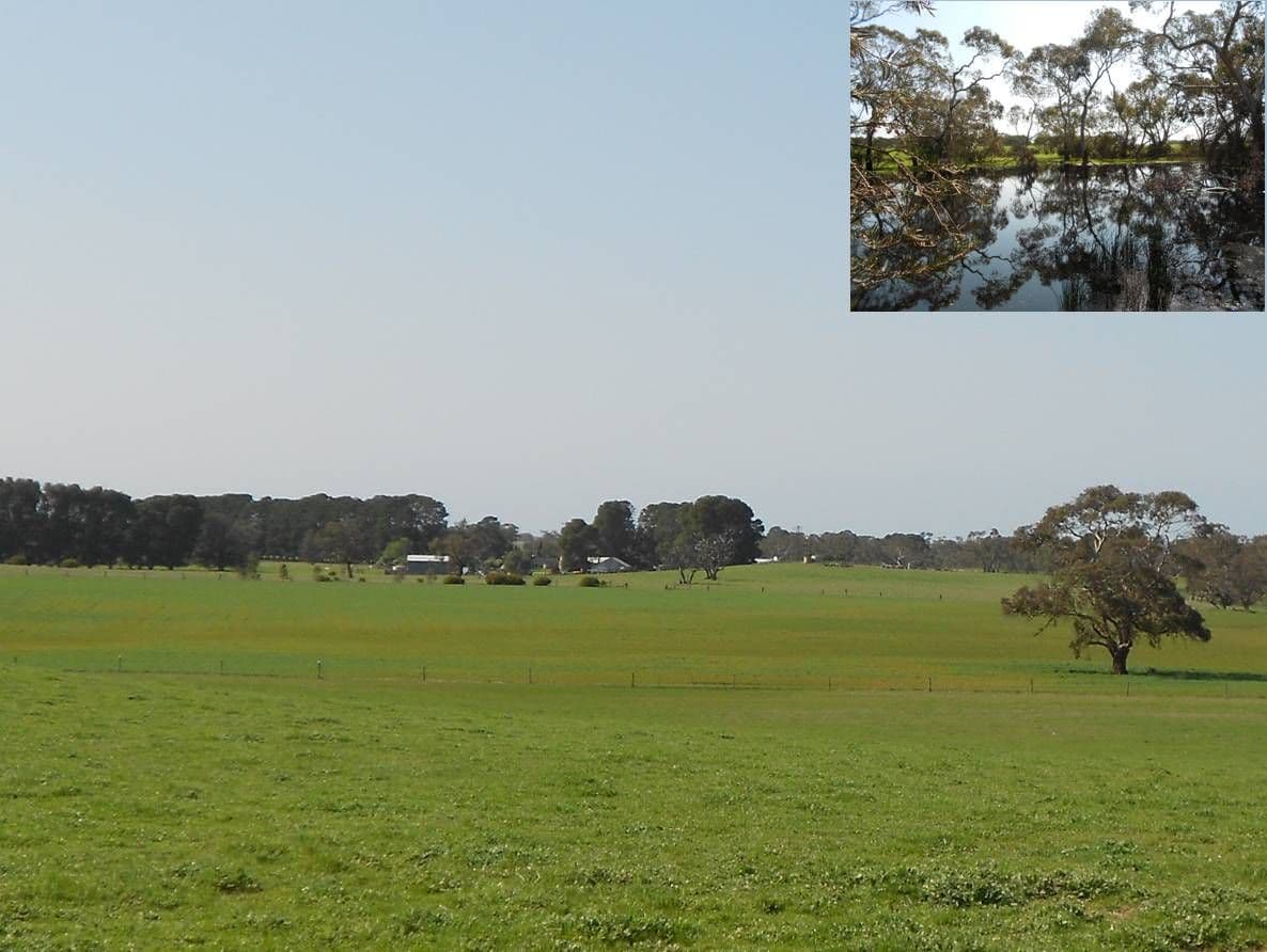 2200 Naracoorte Road, BORDERTOWN SOUTH SA 5268, Bordertown South - Image 1
