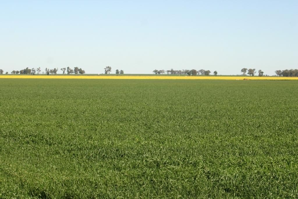 NARROMINE NSW 2821, Narromine - Thumbnail 3