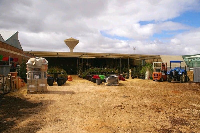 34 Renmark Avenue, RENMARK SA 5341, Renmark - Thumbnail 2