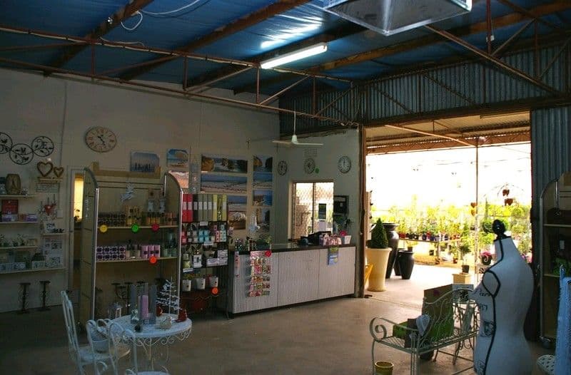 34 Renmark Avenue, RENMARK SA 5341, Renmark - Thumbnail 5