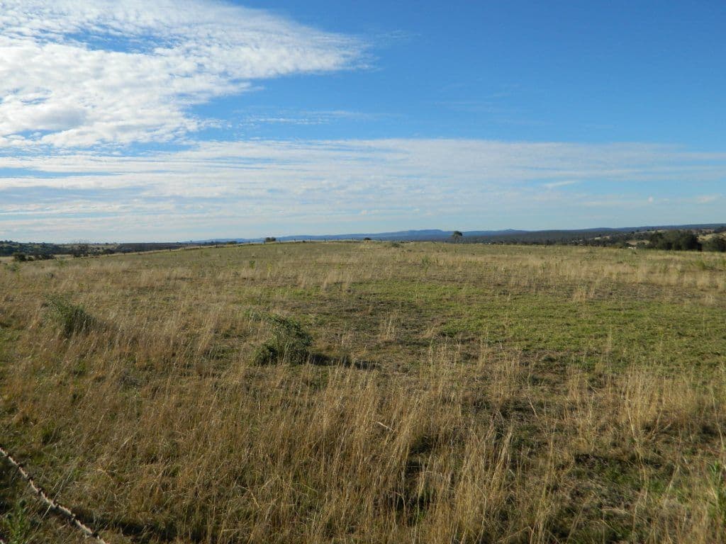 184 parallel Road, WOOROOLIN QLD 4608, Wooroolin - Thumbnail 8