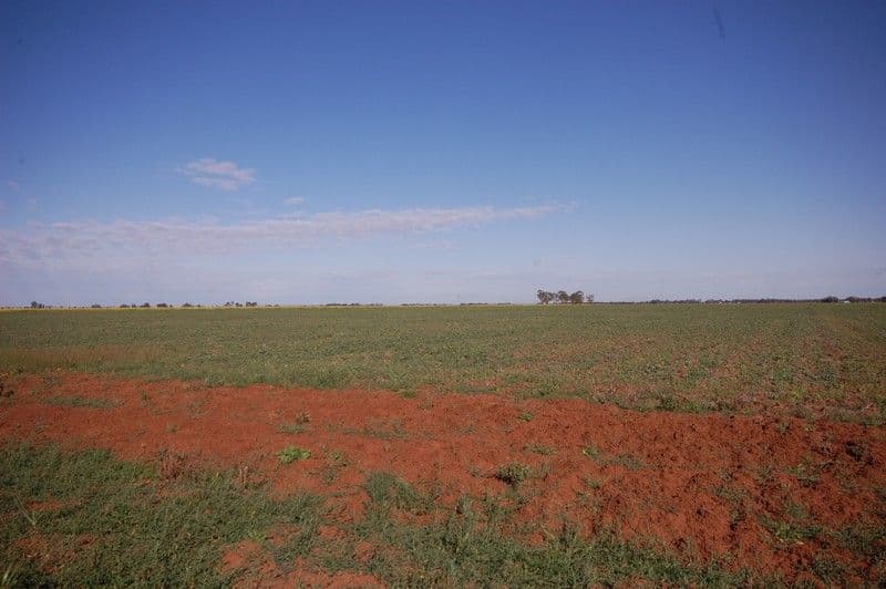 Farm 1054B Crawford Road, HANWOOD NSW 2680, Hanwood - Thumbnail 5