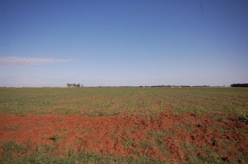 Farm 1054B Crawford Road, HANWOOD NSW 2680, Hanwood - Thumbnail 3