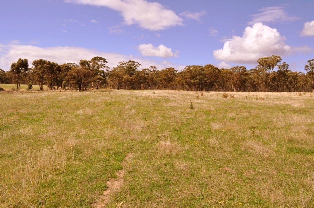 Lot 1 Redpath Track, AVOCA VIC 3467, Avoca - Image 1