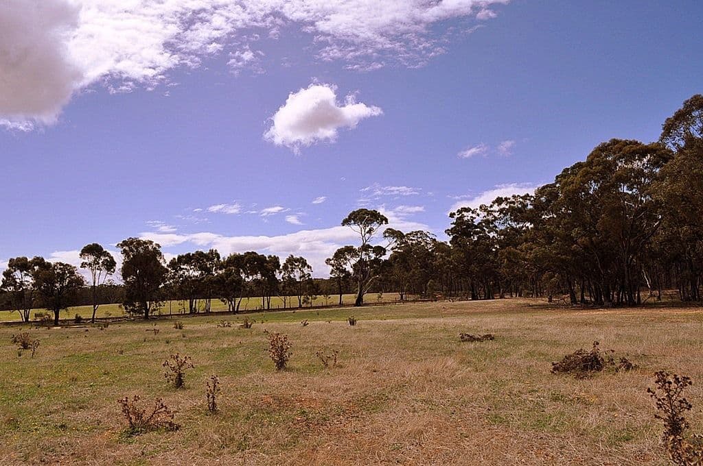 Lot 1 Redpath Track, AVOCA VIC 3467, Avoca - Thumbnail 5