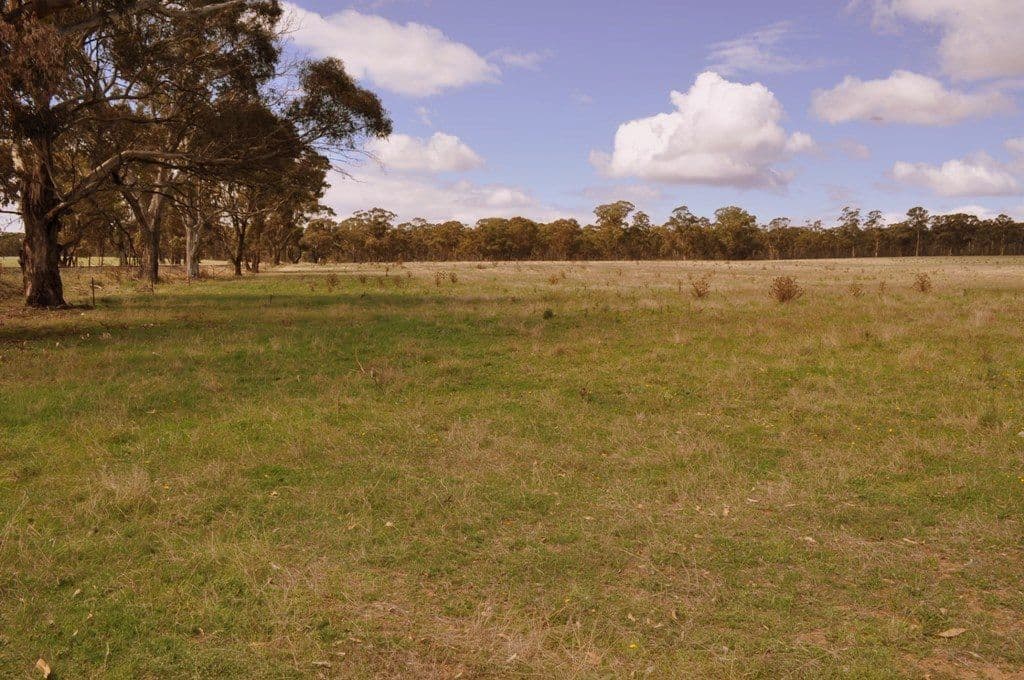 Lot 1 Redpath Track, AVOCA VIC 3467, Avoca - Thumbnail 4