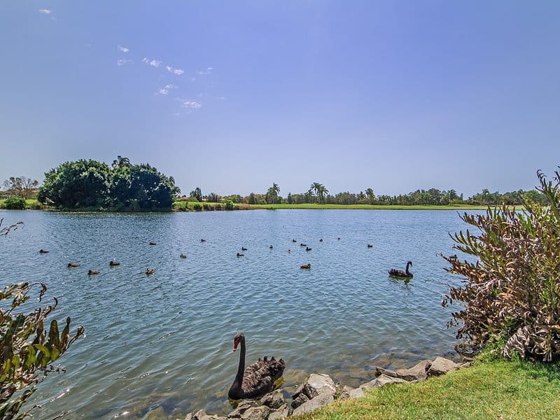 51 'Lake Hills' 117 Palm Meadows Drive, CARRARA QLD 4211, Carrara - Thumbnail 2